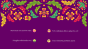 100139-mexican-theme-21