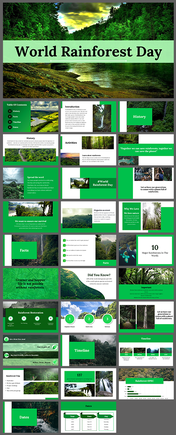 Best World Rainforest Day PPT and Google Slides Templates