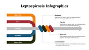 100252-leptospirosis-infographics-21