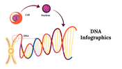 100275-dna-infographics-27