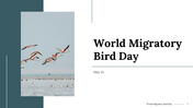 100290-world-migratory-bird-day-01