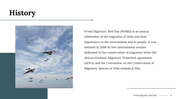 100290-world-migratory-bird-day-04