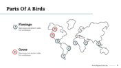 100290-world-migratory-bird-day-14