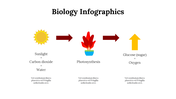 100299-biology-infographics-11