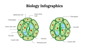 100299-biology-infographics-15