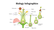 100299-biology-infographics-21