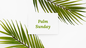 100341-palm-sunday-01