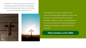 100341-palm-sunday-07