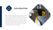 100347-world-penguin-day-presentation-04