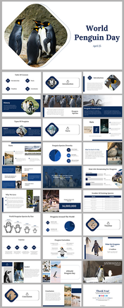 World Penguin Day Presentation And Google Slides Themes