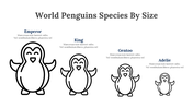 100347-world-penguin-day-presentation-20