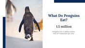 100347-world-penguin-day-presentation-25