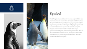 100347-world-penguin-day-presentation-26