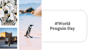 100347-world-penguin-day-presentation-27