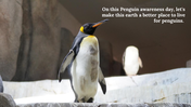 100347-world-penguin-day-presentation-28