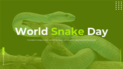 World snake day slide deck featuring a green snake image and various informational slides about snakes.