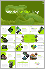 World snake day slide deck featuring a green snake image and various informational slides about snakes.