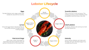 100486-national-lobster-day-08