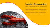 100486-national-lobster-day-10