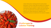 100486-national-lobster-day-13