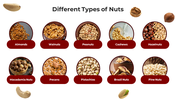 100529-national-nut-day-05