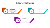 100574-cultural-intelligence-10