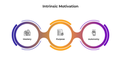 100719-intrinsic-motivation-04