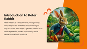 100898-the-tale-of-peter-rabbit-02