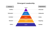 101008-emergent-leadership-04