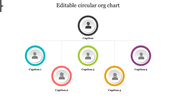 Circular organizational chart with five colored nodes connected by lines, featuring generic user icons and caption areas.