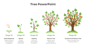 Horizontal sequence of five tree illustrations, each stage growing larger from seedling to mature, in green and brown tones.