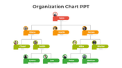 Creative Organization Chart PowerPoint And Google Slides