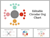 Editable Circular Org Chart PPT and Google Slides Themes