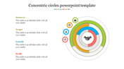 Multicolored concentric circles  in green, orange, blue, and red, with icons, and corresponding labels on the left.