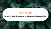 11-how-to-add-footnote-in-microsoft-powerpoint