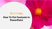 11-how-to-put-footnote-in-powerpoint