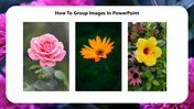 12-how-to-group-images-in-powerpoint