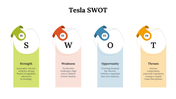 13160-tesla-swot-05