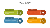 13160-tesla-swot-07