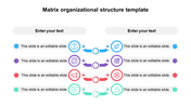 Best Matrix Organizational Structure Template Designs