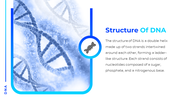 13499-dna-powerpoint-template-free-download-03