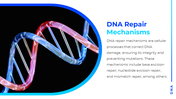 13499-dna-powerpoint-template-free-download-08