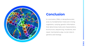 13499-dna-powerpoint-template-free-download-10