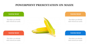 PowerPoint Presentation and Google Slides On Maize