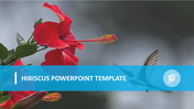 Red hibiscus flower on the left with a hovering bird, overlaid with a blue banner containing text.