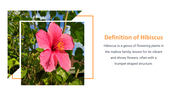 13844-hibiscus-powerpoint-presentation-02