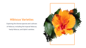 13844-hibiscus-powerpoint-presentation-03