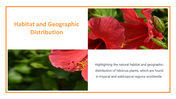 13844-hibiscus-powerpoint-presentation-07