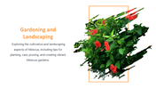 13844-hibiscus-powerpoint-presentation-09