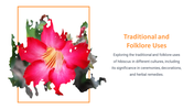 13844-hibiscus-powerpoint-presentation-12